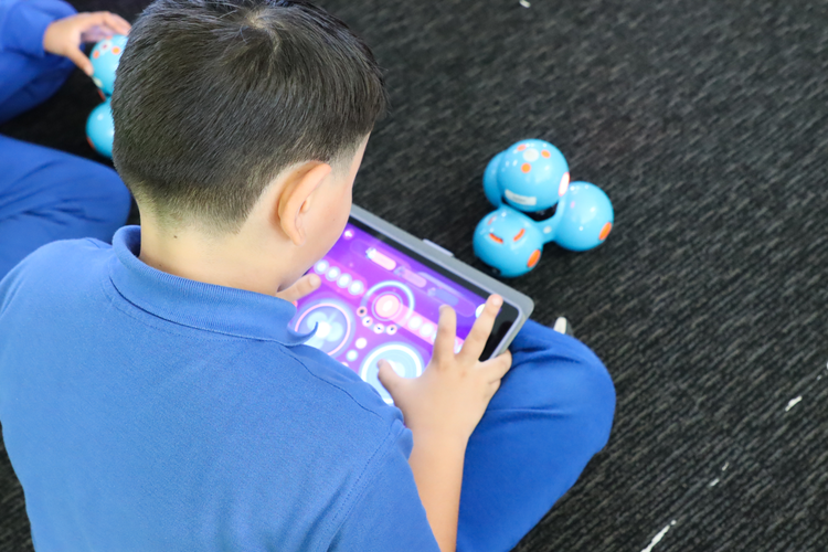 A student using an iPad to enhance their learning.
